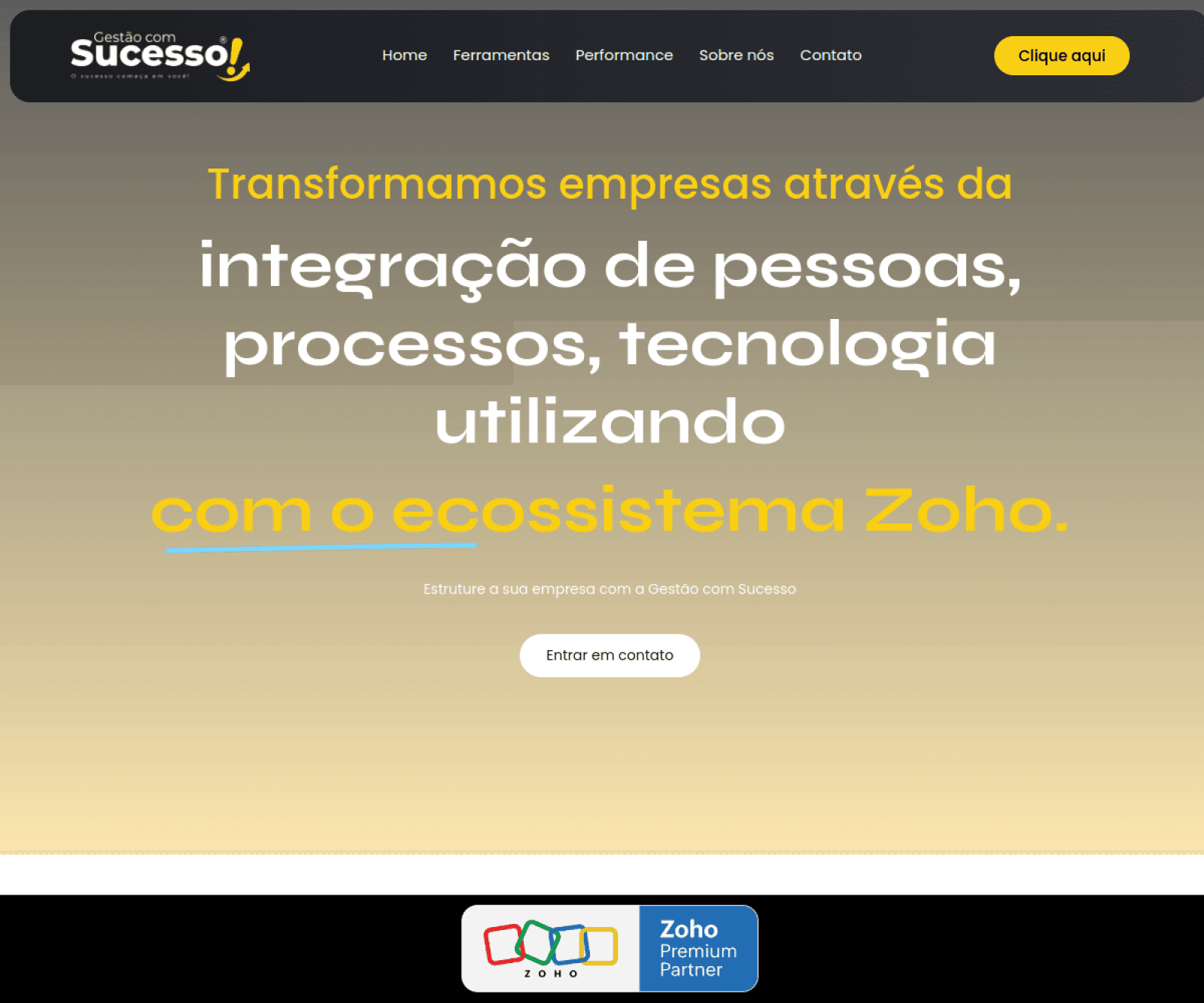 Visual do projeto GESTÃO COM SUCESSO